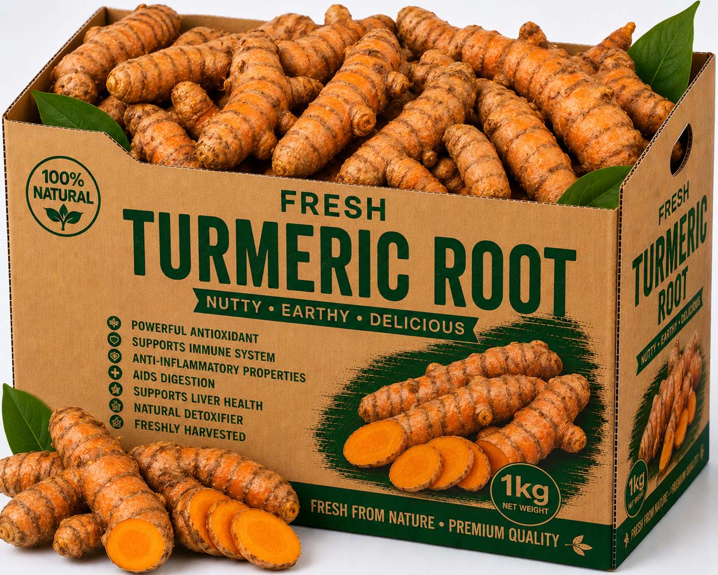 Fresh Turmeric Root